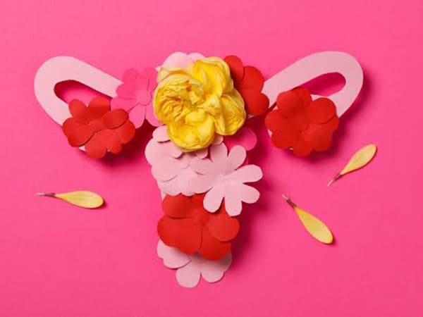 Gruha Endometriosis Clinic